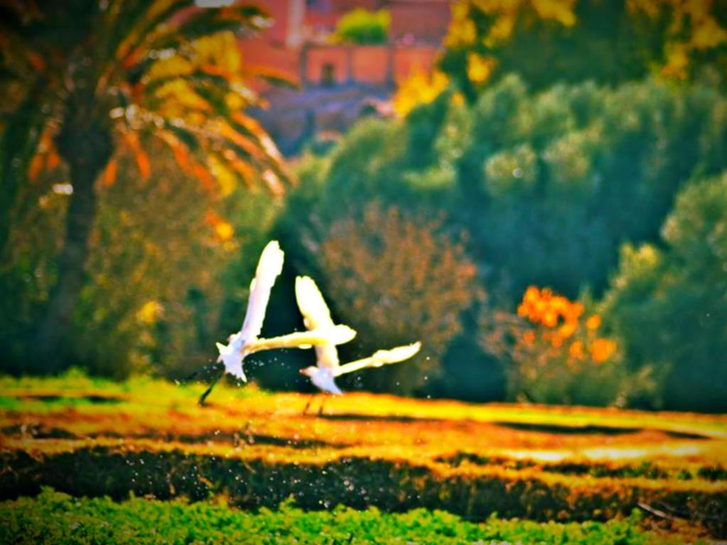Restaurant La Kasbah 3*
